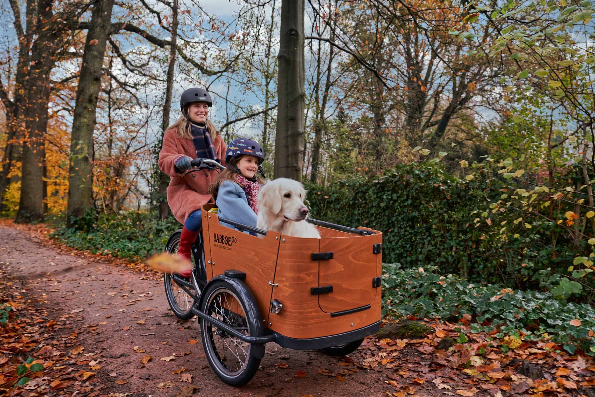 vélo triporteur cargotrike Babboe