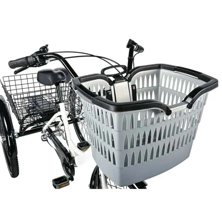 Leader Fox tricycle City Bormio 24" 518wh blanc