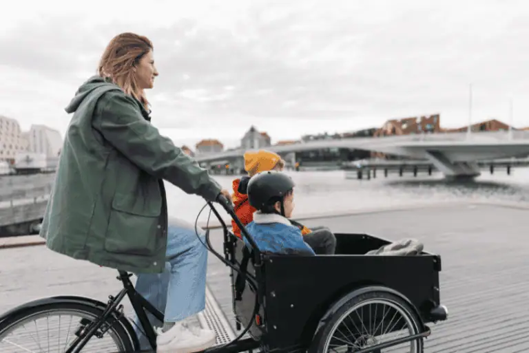 economie velo cargo